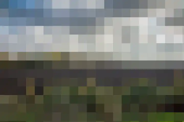 Vogelfort 3 Hengstdijk thumbnail 25
