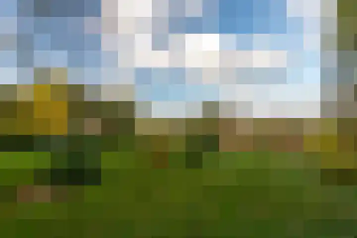Vogelfort 3 Hengstdijk thumbnail 4