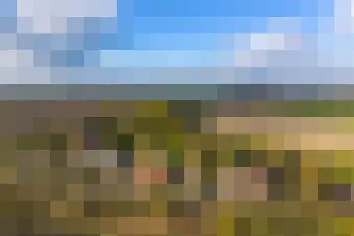 Vogelfort 3 Hengstdijk thumbnail 5