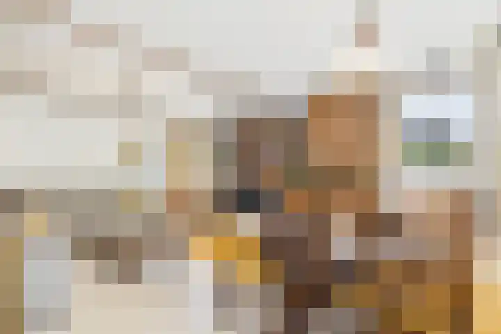 Vogelfort 3 Hengstdijk thumbnail 7