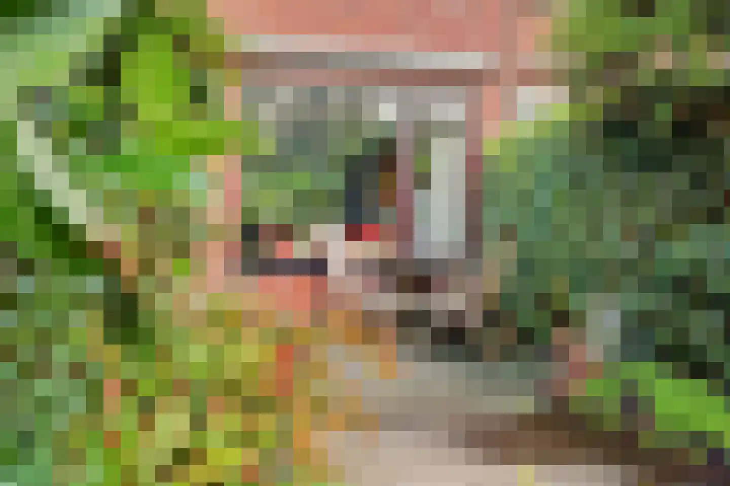 Vogelgaarde 11 Rockanje thumbnail 34