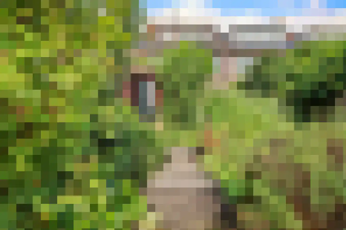 Vogelgaarde 11 Rockanje thumbnail 36