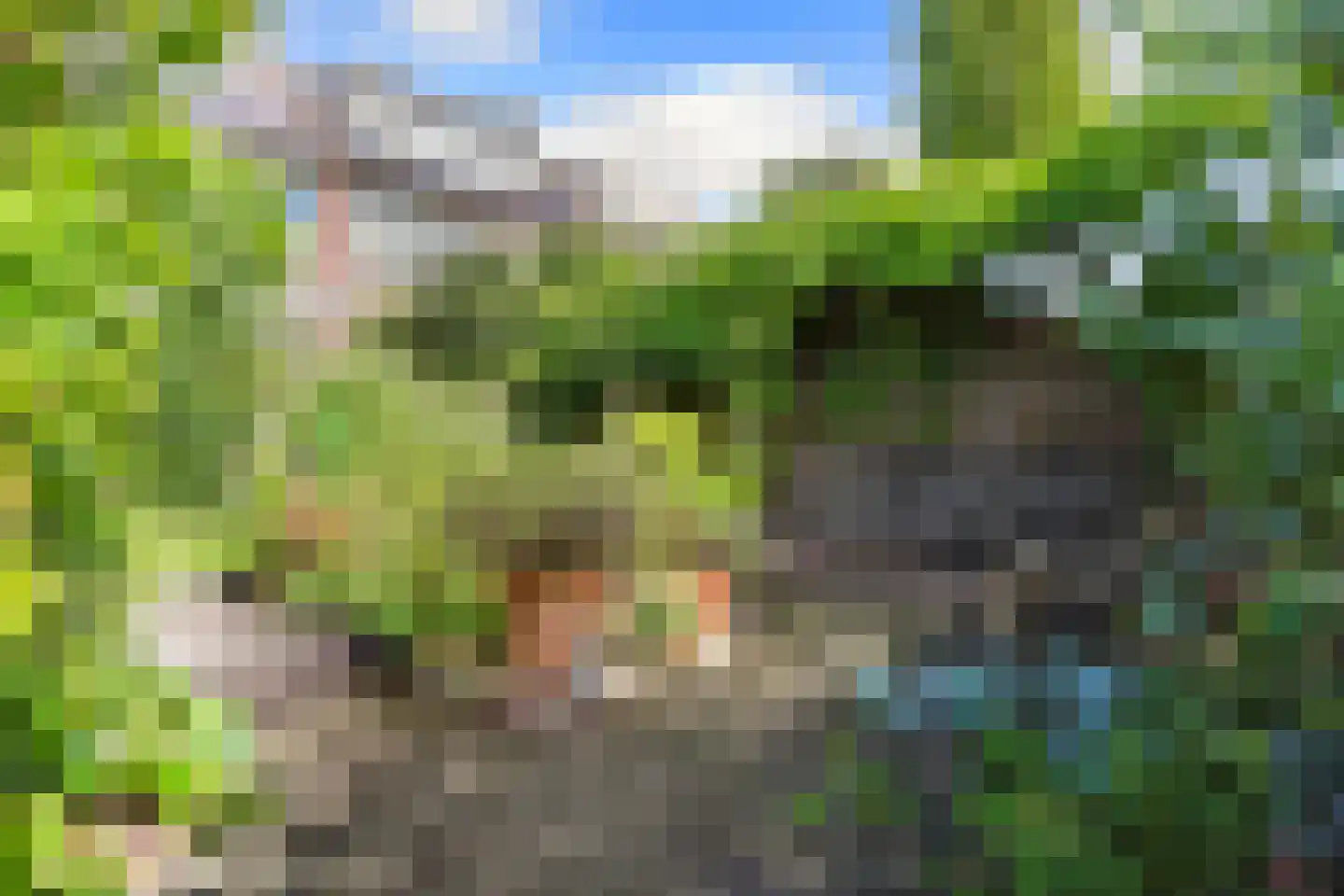 Vogelgaarde 11 Rockanje thumbnail 38