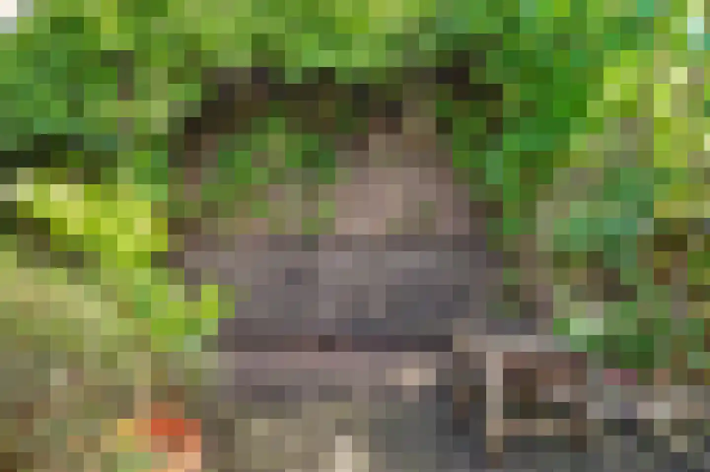 Vogelgaarde 11 Rockanje thumbnail 39