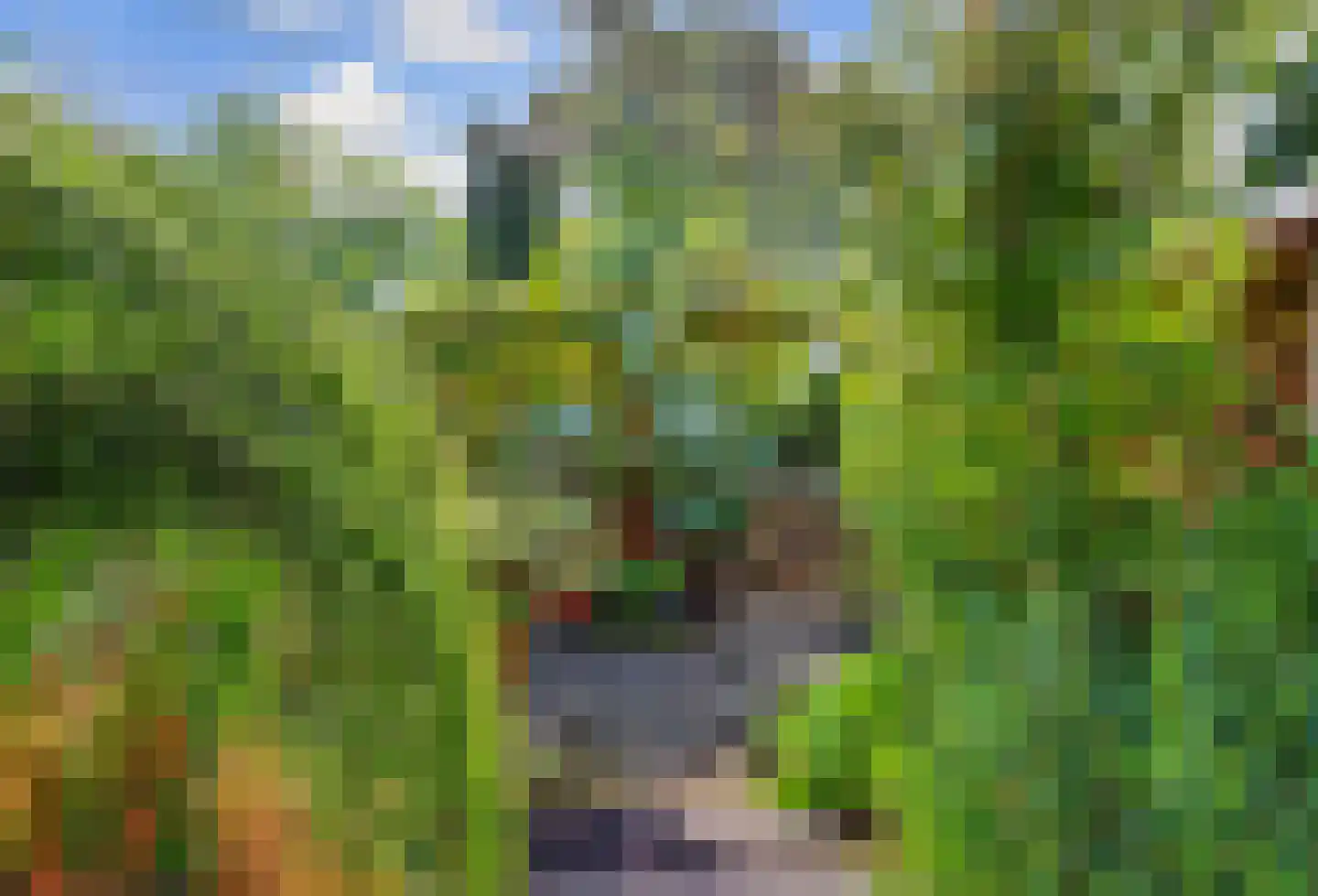 Vogelgaarde 11 Rockanje thumbnail 40