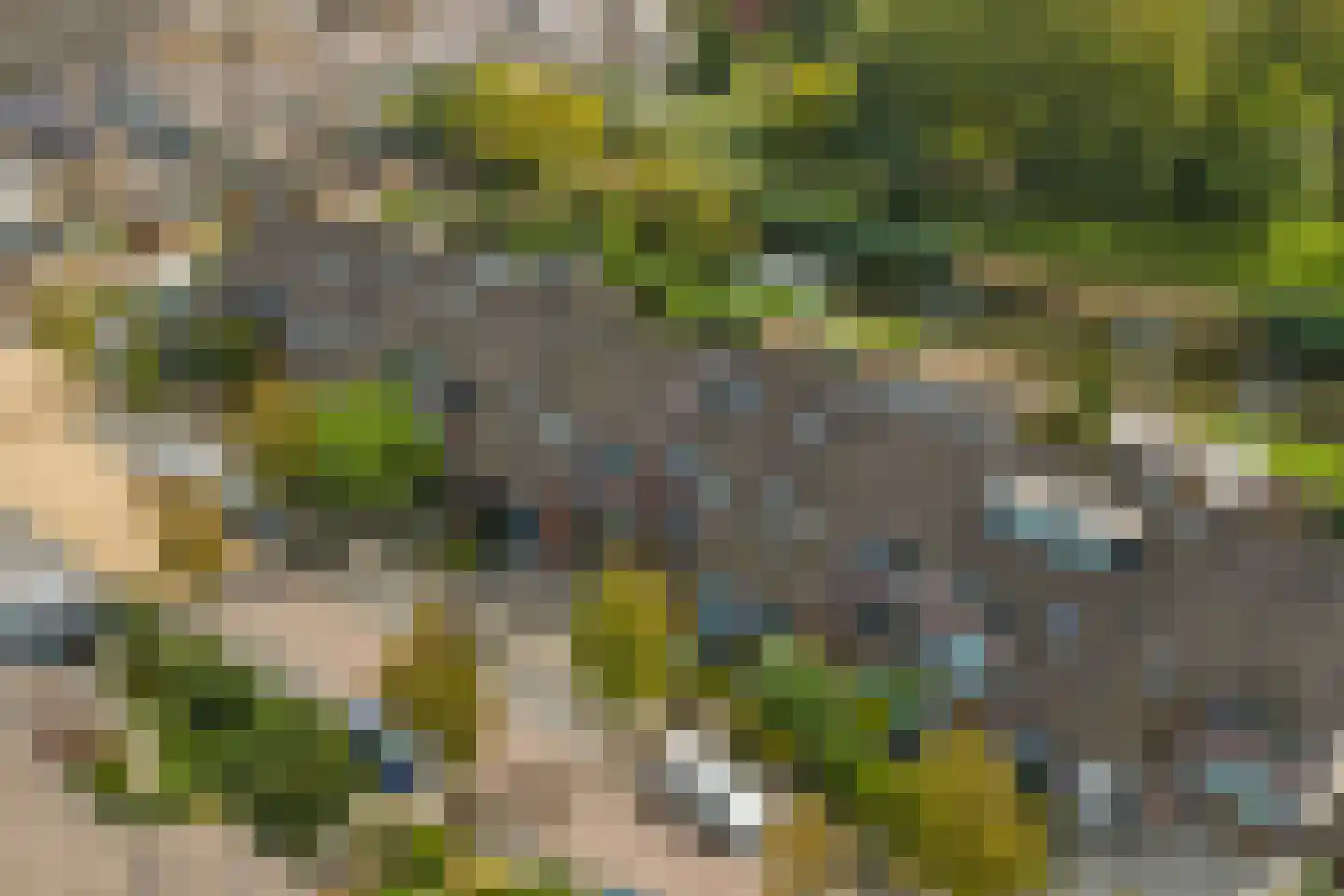 Vogelgaarde 11 Rockanje thumbnail 44