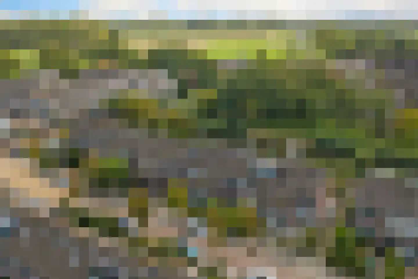 Vogelgaarde 11 Rockanje thumbnail 45