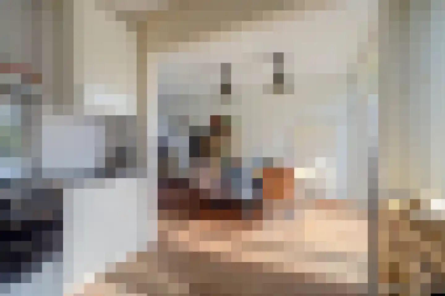 Vogelgaarde 15 Rockanje thumbnail 15