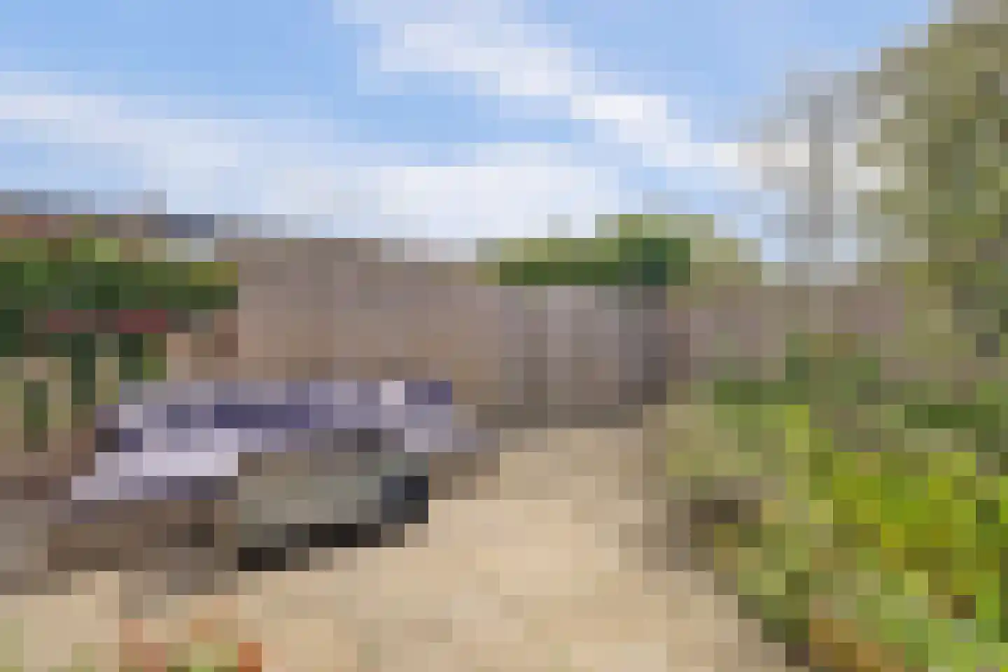Vogelgaarde 15 Rockanje thumbnail 40