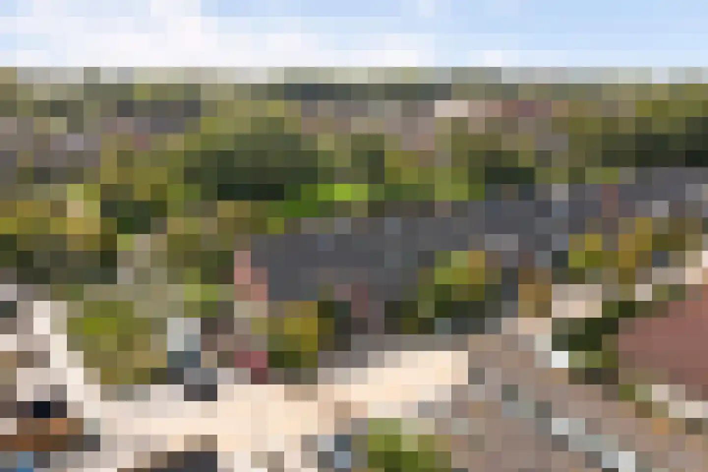 Vogelgaarde 15 Rockanje thumbnail 46