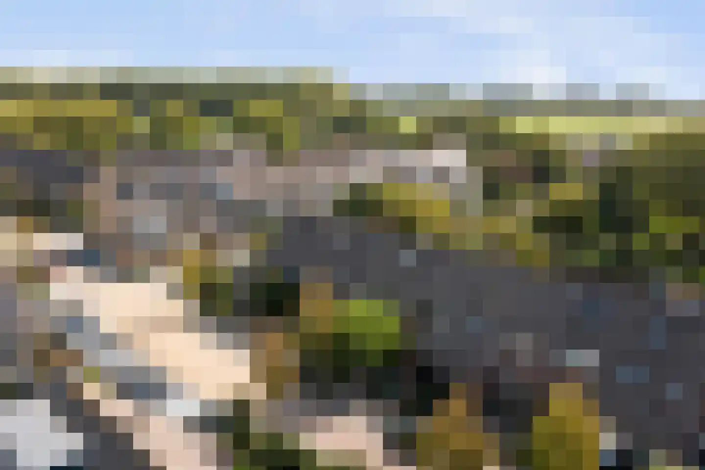 Vogelgaarde 15 Rockanje thumbnail 47