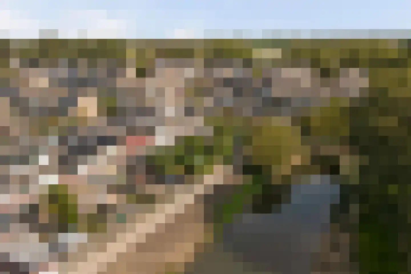 Vogelgaarde 15 Rockanje thumbnail 5