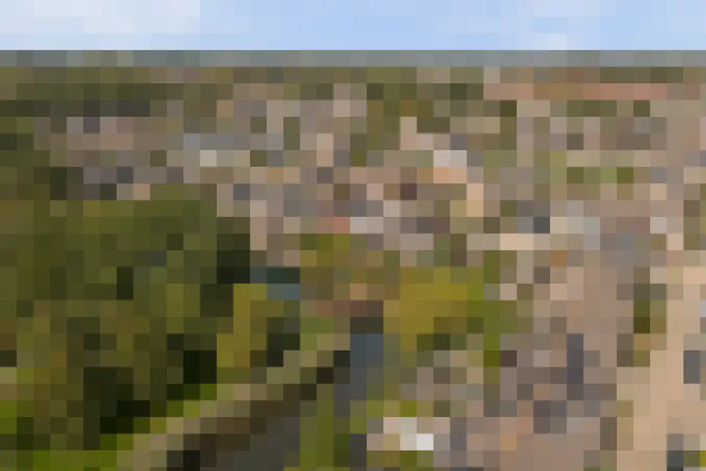 Vogelgaarde 15 Rockanje thumbnail 52