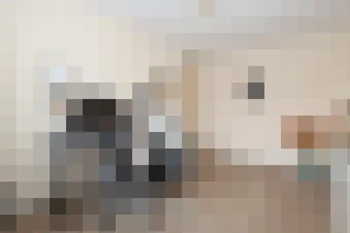 Vogelgaarde 36 Rockanje thumbnail 32