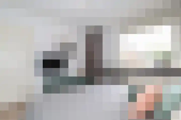 Vogelgaarde 36 Rockanje thumbnail 35