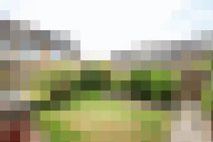 Vogelgaarde 36 Rockanje thumbnail 53
