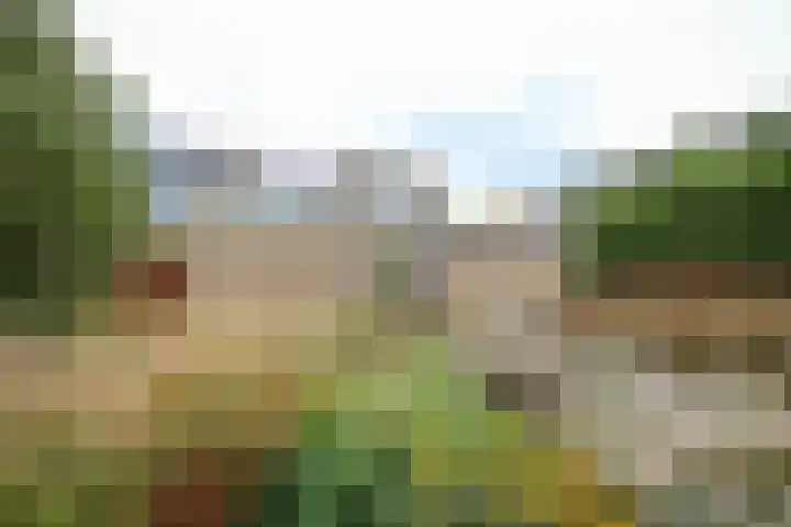 Vogelgaarde 36 Rockanje thumbnail 58