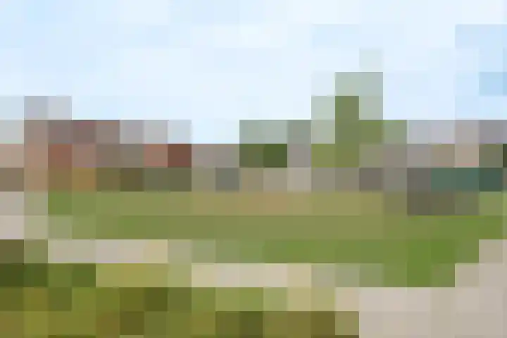 Vogelgaarde 36 Rockanje thumbnail 59