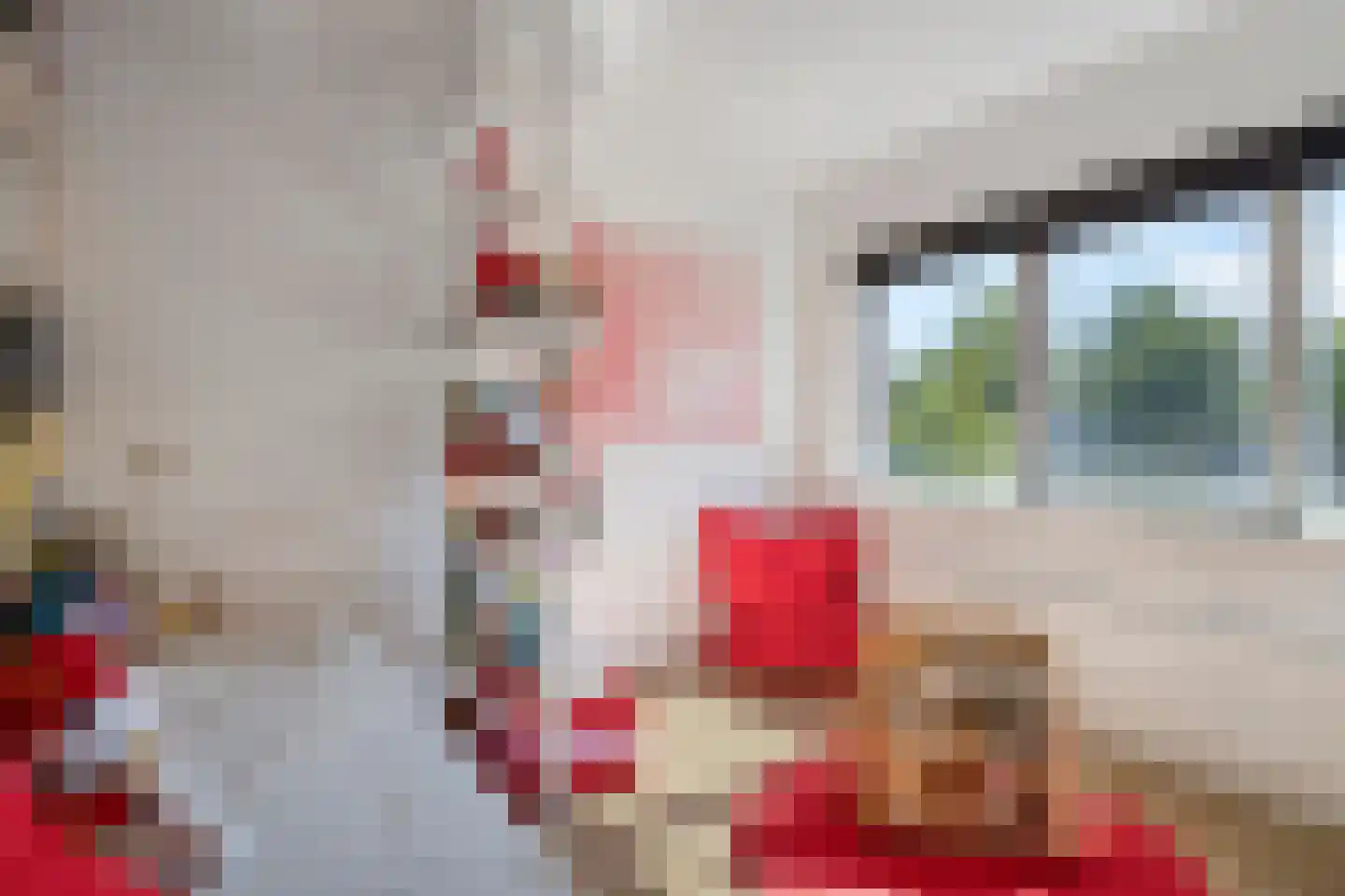 Vogelhei 10 Best thumbnail 18