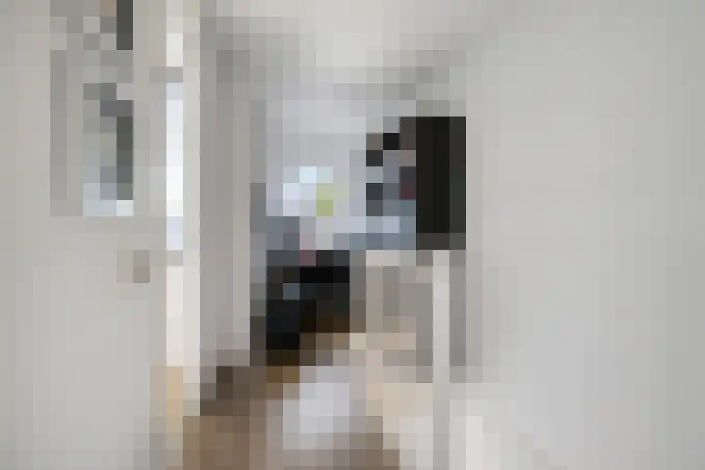Vogelhei 10 Best thumbnail 19