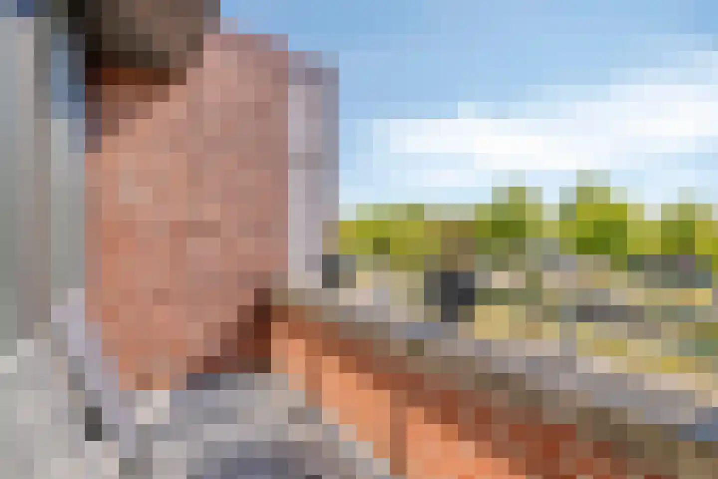 Vogelhei 10 Best thumbnail 22
