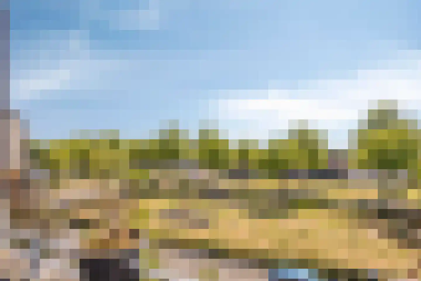 Vogelhei 10 Best thumbnail 23