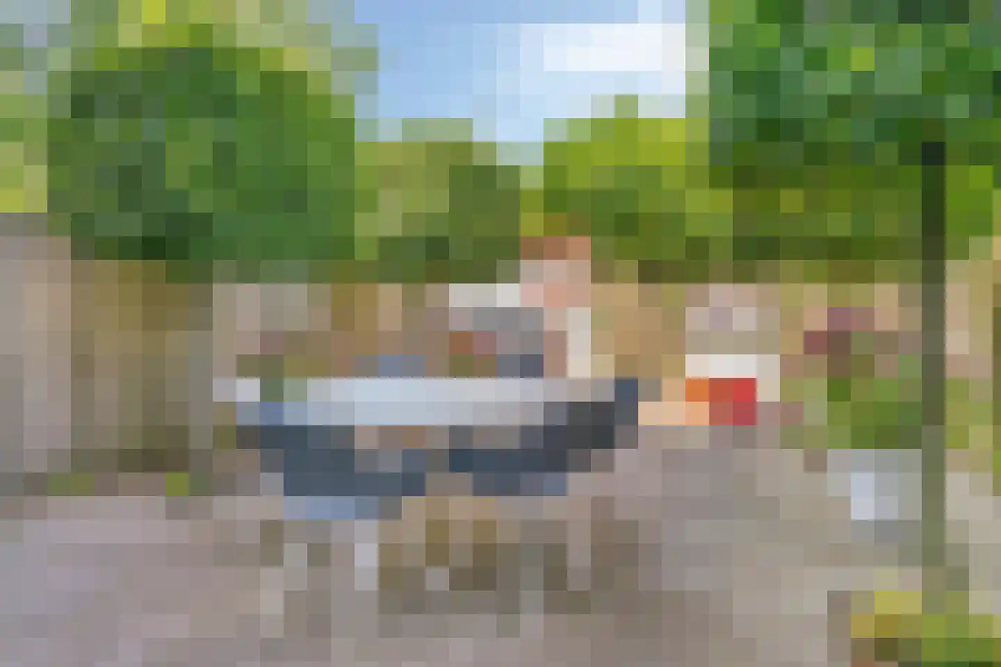 Vogelhei 10 Best thumbnail 24