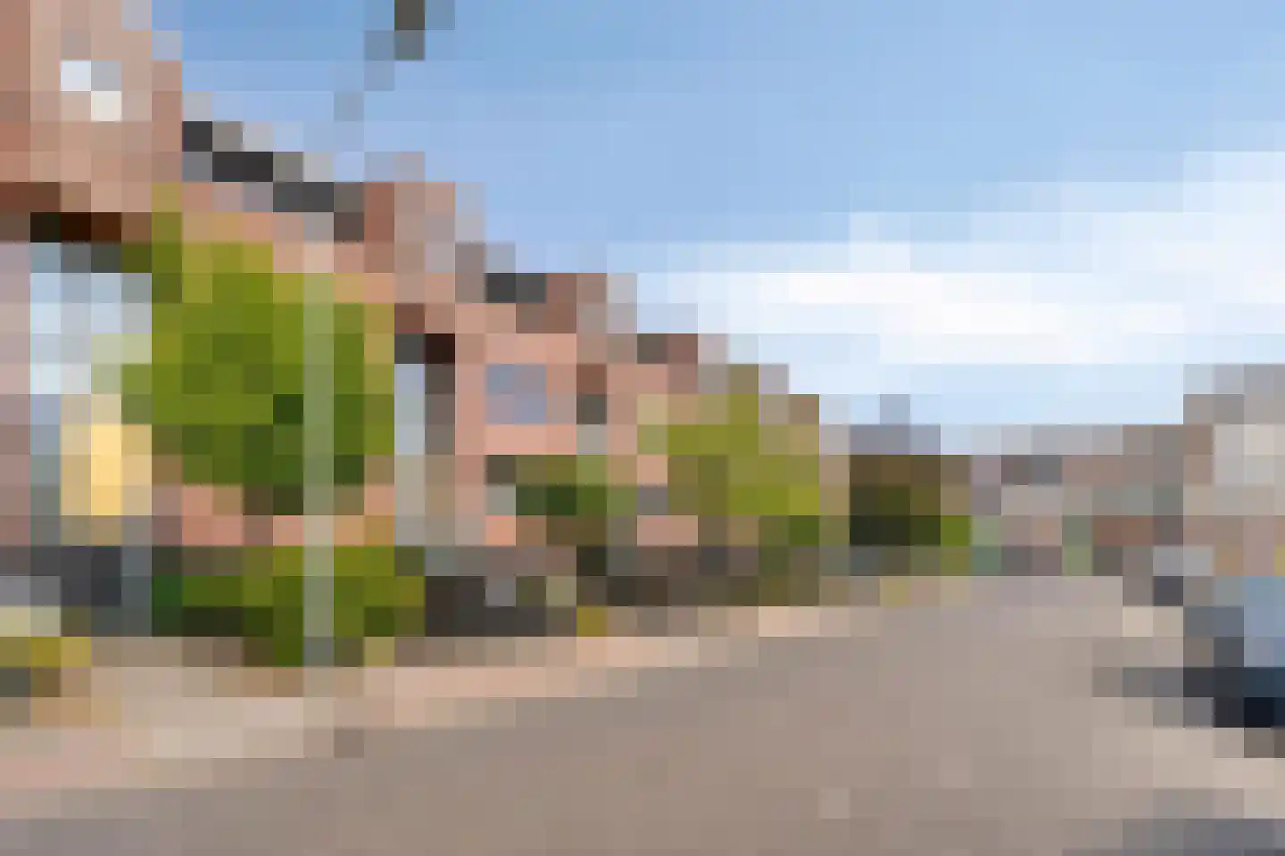 Vogelhei 10 Best thumbnail 30