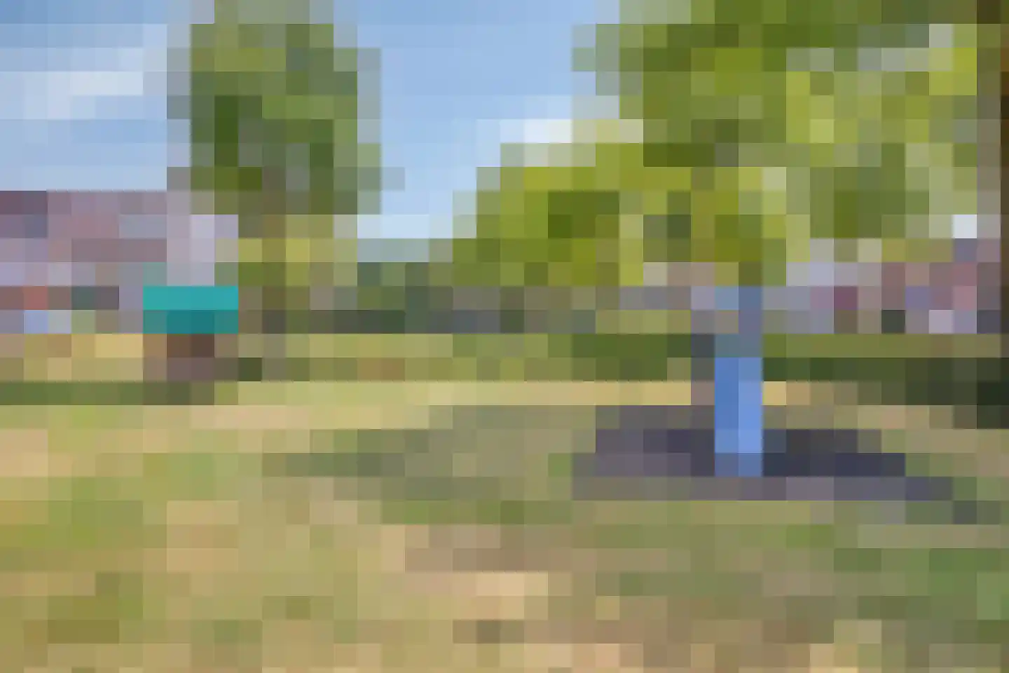 Vogelhei 10 Best thumbnail 31