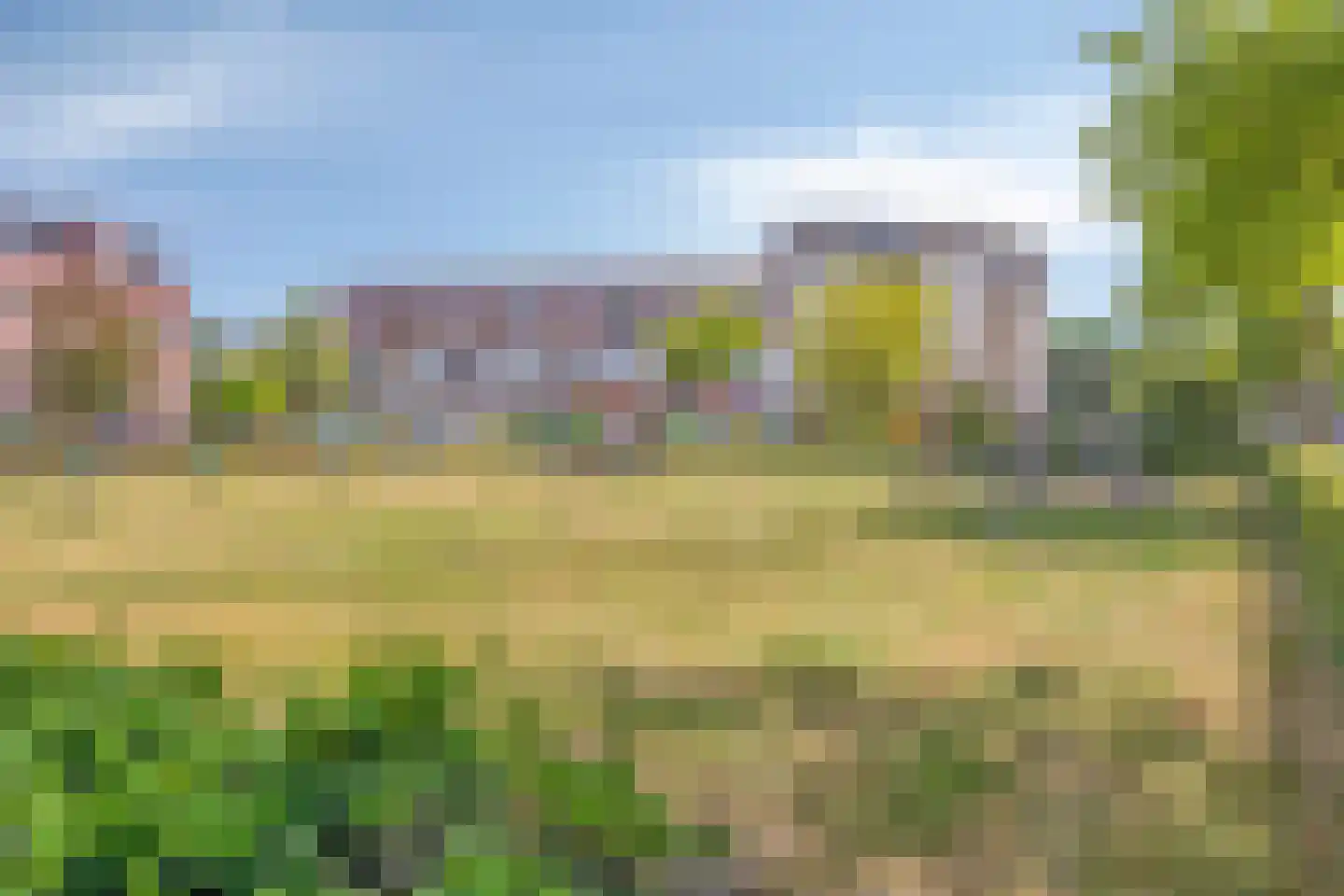 Vogelhei 10 Best thumbnail 32