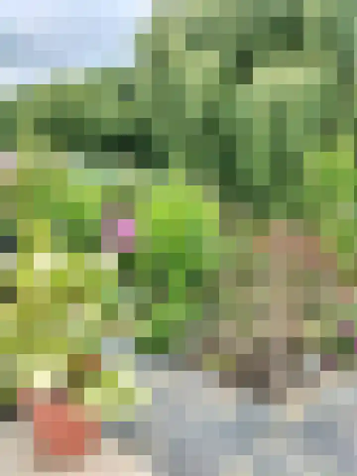 Vogelhei 14 Best thumbnail 10