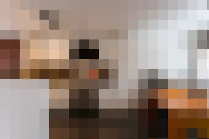 Vogelhei 14 Best thumbnail 12