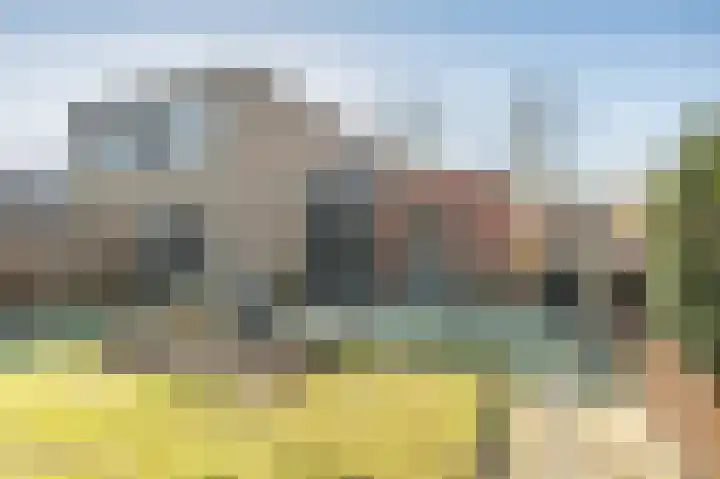 Vogelhei 14 Best thumbnail 16