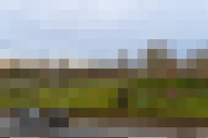 Vogelhei 14 Best thumbnail 29