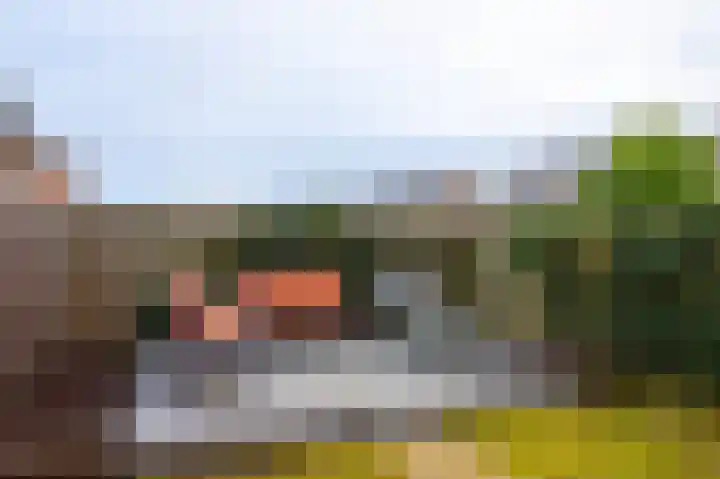 Vogelhei 14 Best thumbnail 33