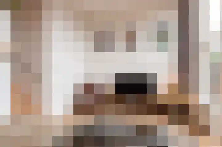Vogelhei 14 Best thumbnail 7