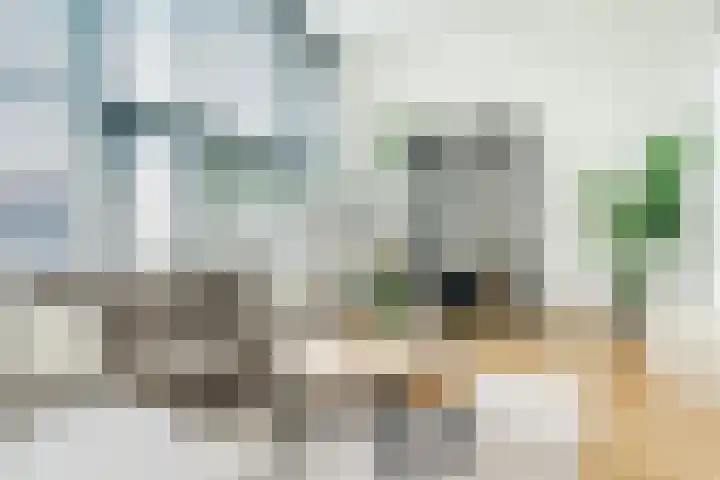 Vogelhei 16 Best thumbnail 10