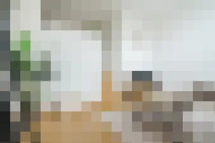 Vogelhei 16 Best thumbnail 11