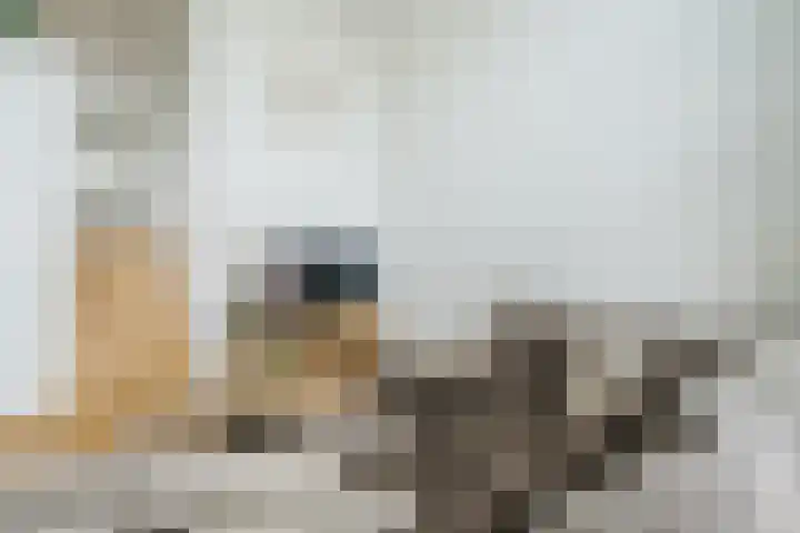Vogelhei 16 Best thumbnail 12