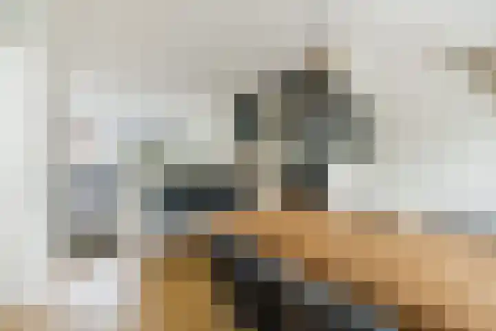 Vogelhei 16 Best thumbnail 13