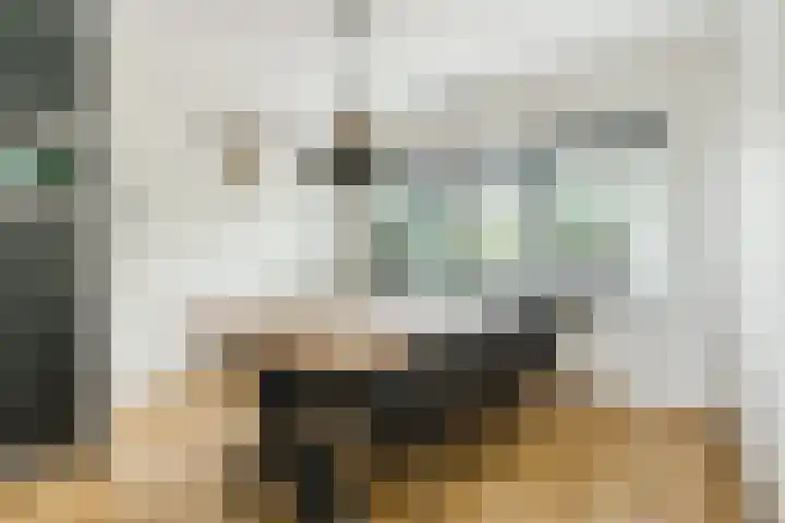 Vogelhei 16 Best thumbnail 15
