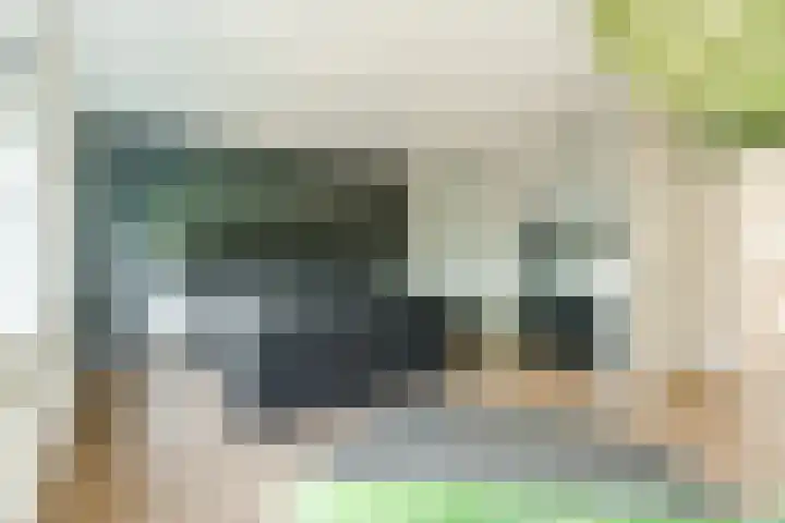 Vogelhei 16 Best thumbnail 17