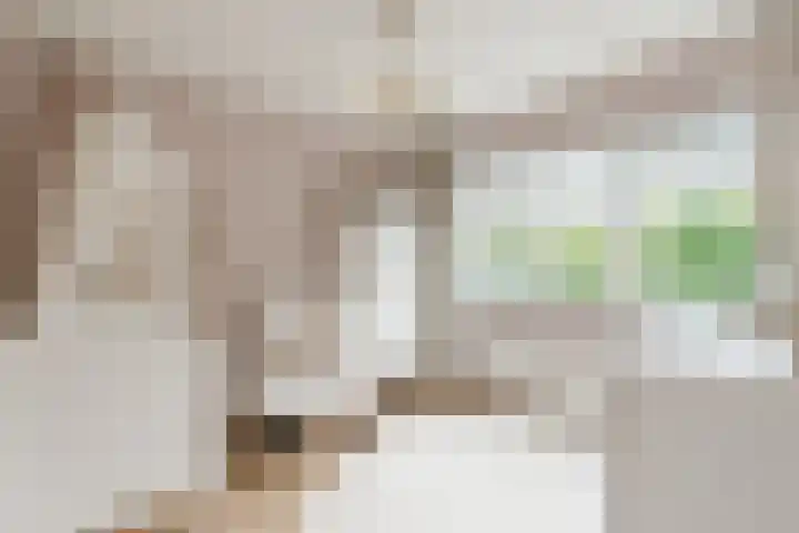 Vogelhei 16 Best thumbnail 18