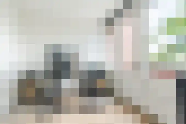 Vogelhei 16 Best thumbnail 23