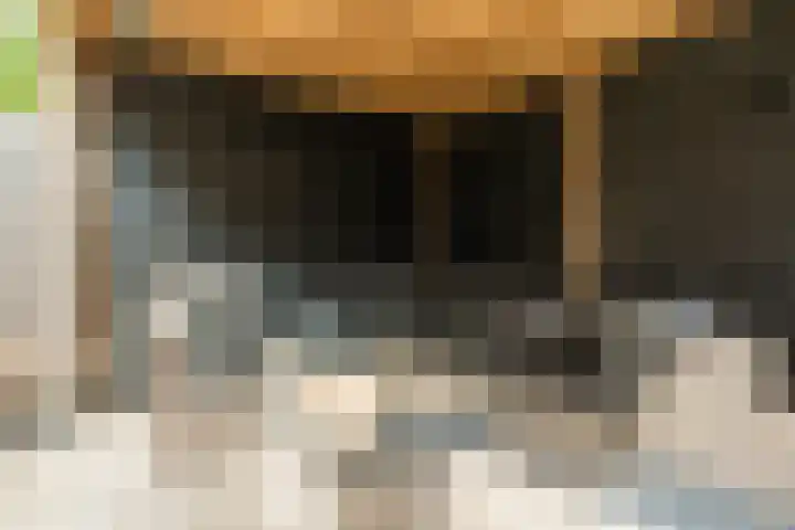 Vogelhei 16 Best thumbnail 25