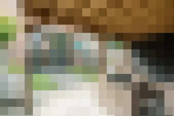 Vogelhei 16 Best thumbnail 26