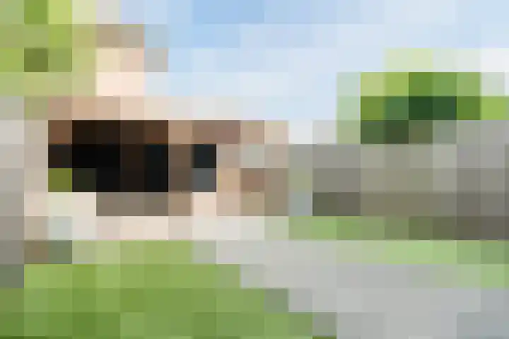 Vogelhei 16 Best thumbnail 27
