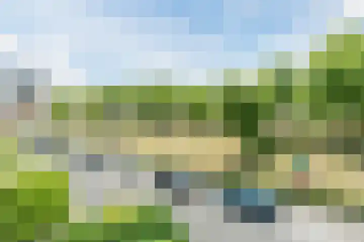 Vogelhei 16 Best thumbnail 28