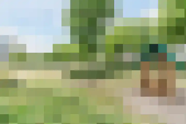 Vogelhei 16 Best thumbnail 30