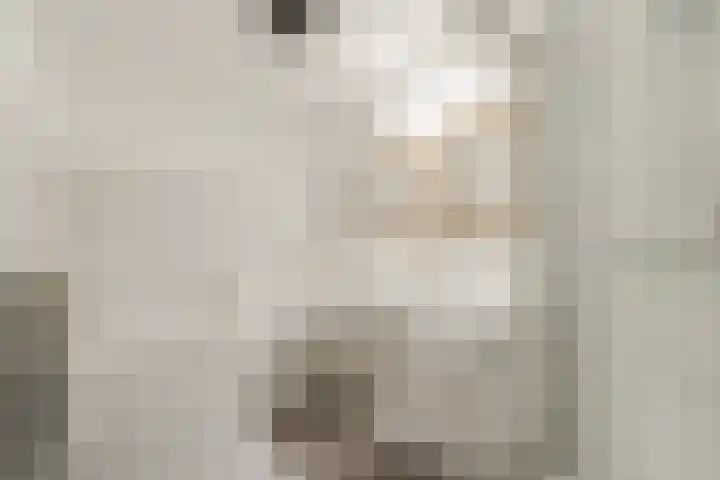 Vogelhei 16 Best thumbnail 4